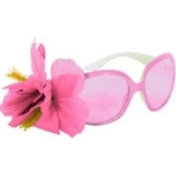 Bril Audry Roze Met Bloem