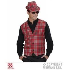 Bril Tartan Print Rood -Disco Kostuum bril tartan print rood 2